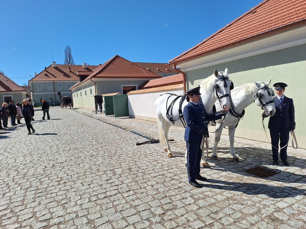 Památka UNESCO: Hřebčín v Kladrubech je perlou kraje a dobře se rozvíjí