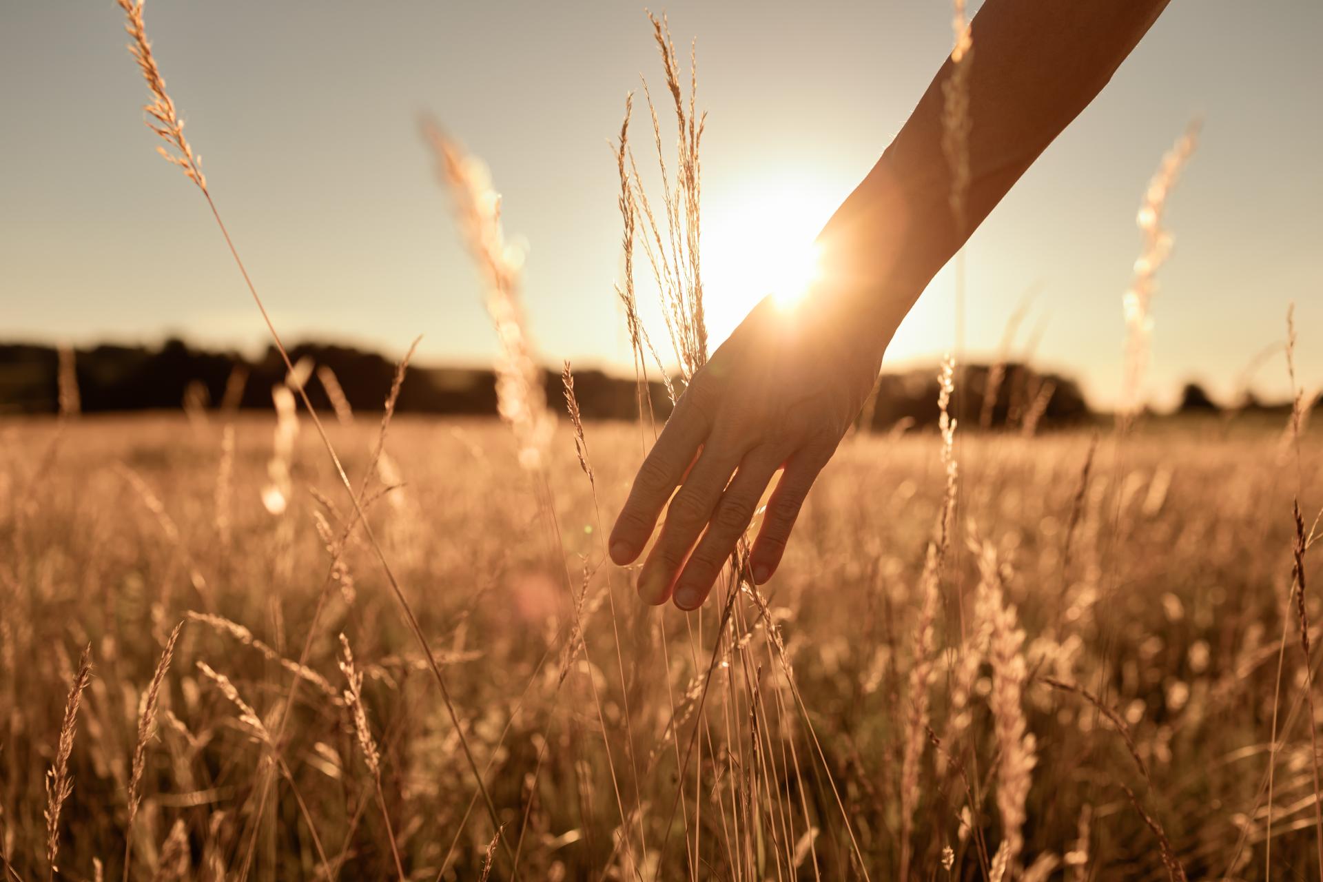 Přítomnost „tady a teď“ – technika mindfulness