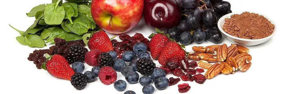 Výživa v prevenci nemocí: antioxidanty